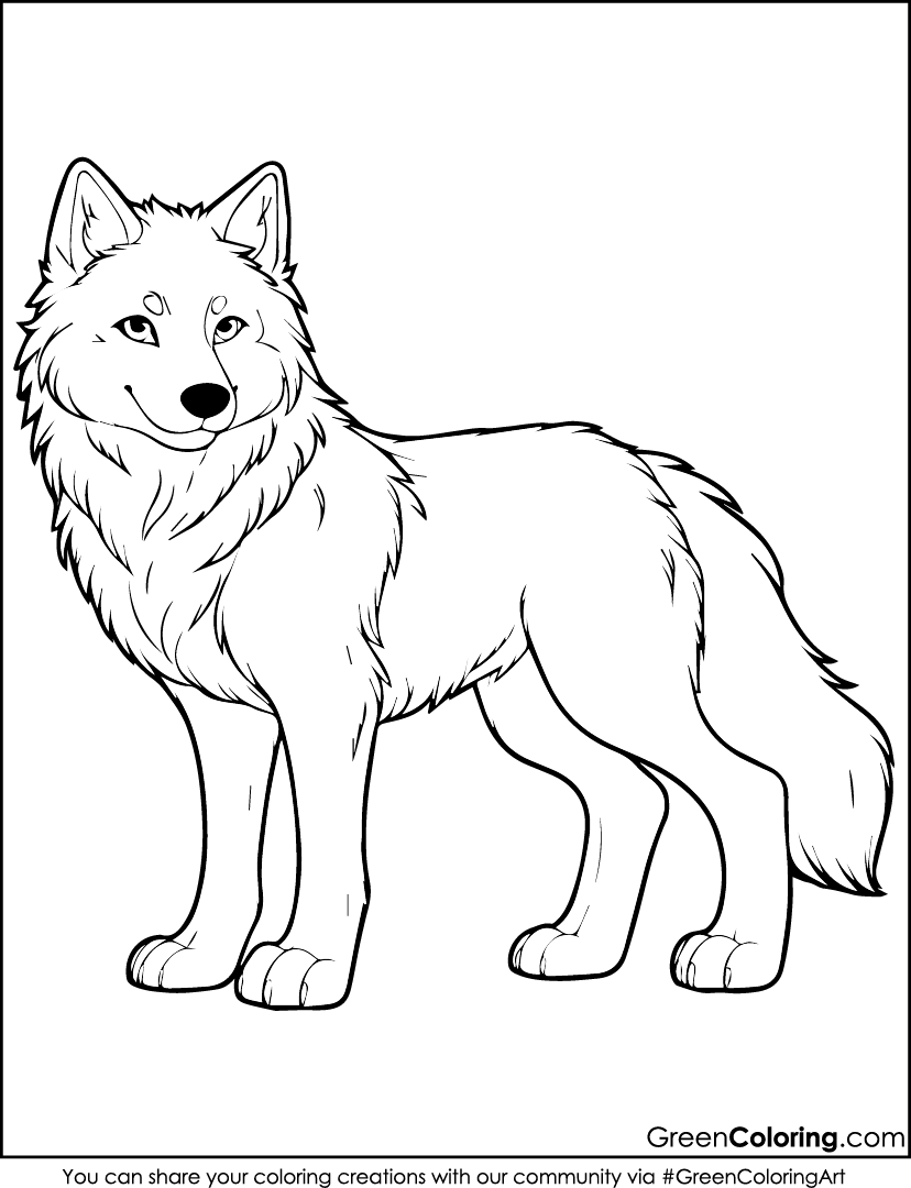 realistic wolf coloring pages