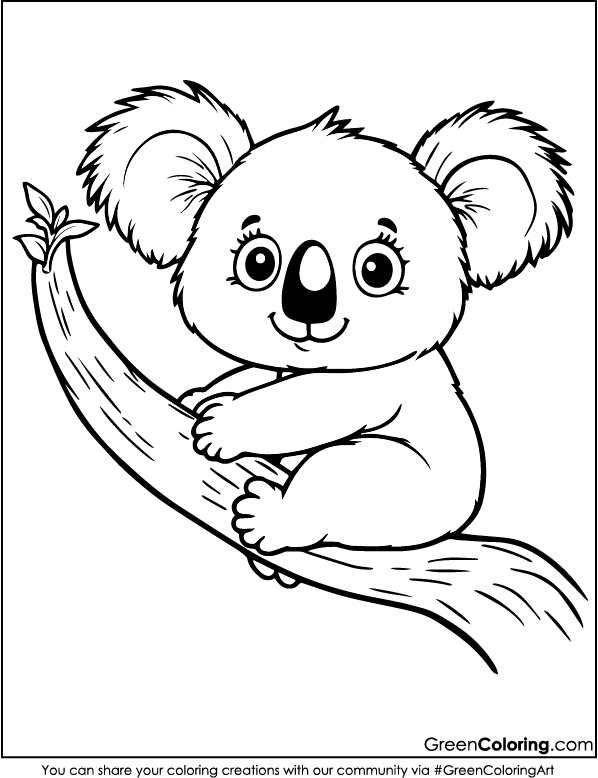 Koala Coloring Pages