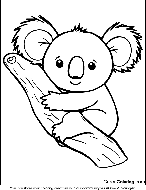 Koala Coloring Pages pdf