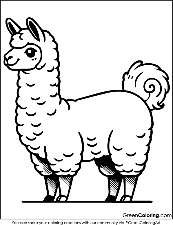 Simple Llama Coloring Pages for Kids