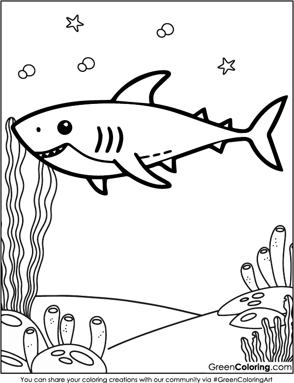 Shark Coloring Page