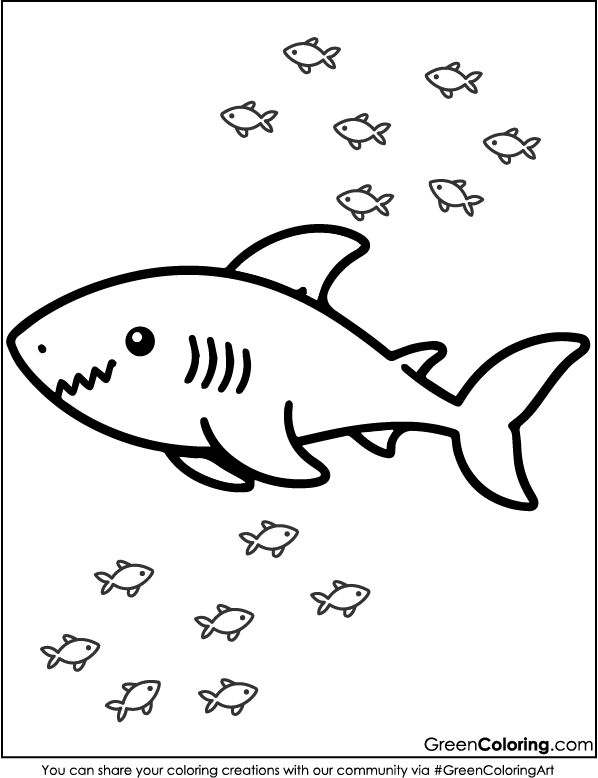 Printable Shark Coloring Pages PDF