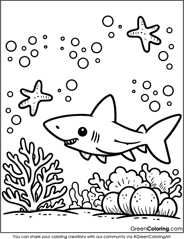 Simple Shark Coloring Pages for Kids and Toddlers