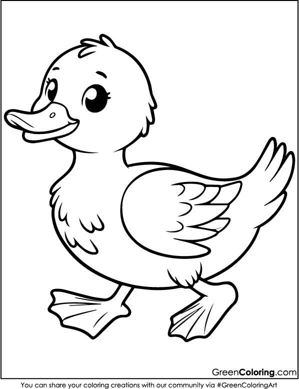 Duck Coloring Pages