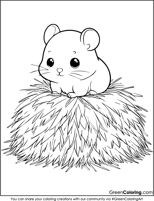 Printable Hamster Coloring Pages PDF