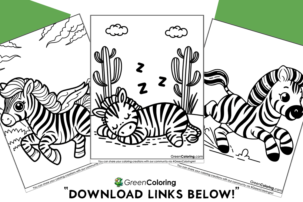 Free Printable Zebra Coloring Sheets PDF