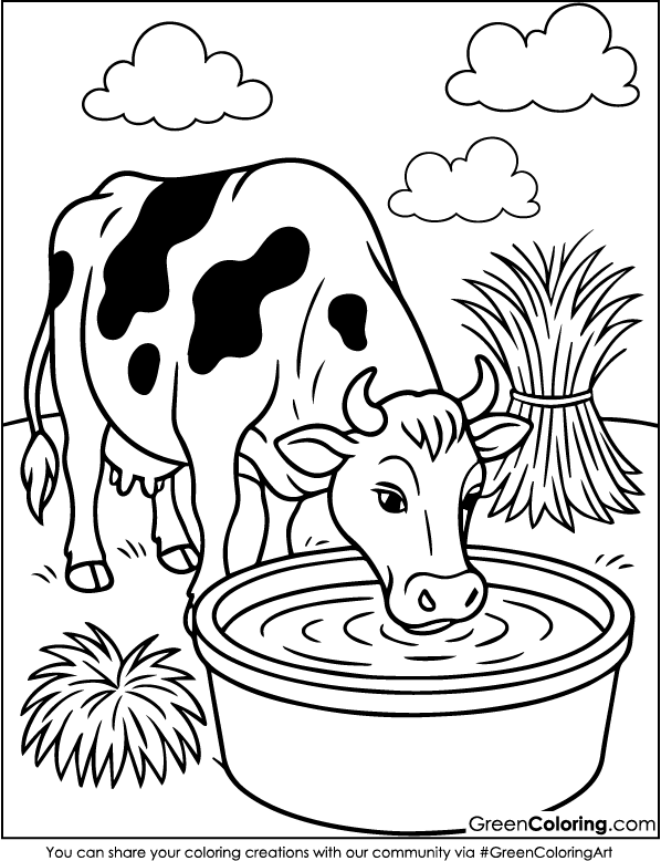 Download Free Printable Cow Coloring Sheet PDF