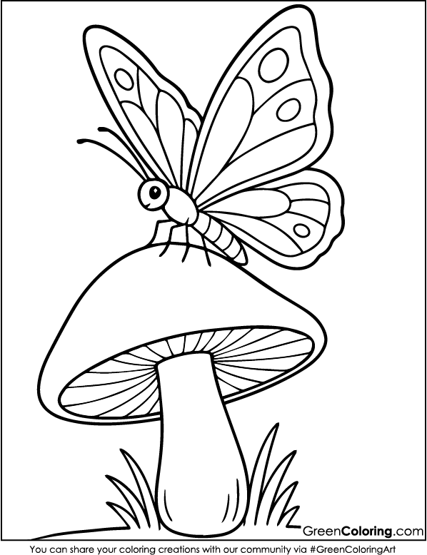 Download Free Printable Butterfly Coloring Page PDF