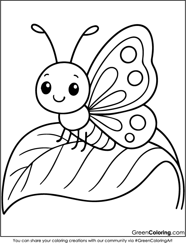 Simple Butterfly Coloring Pages for Kids and Toddlers
