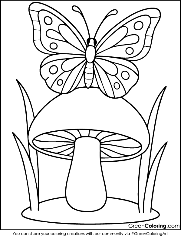 Butterfly Coloring Pages PDF