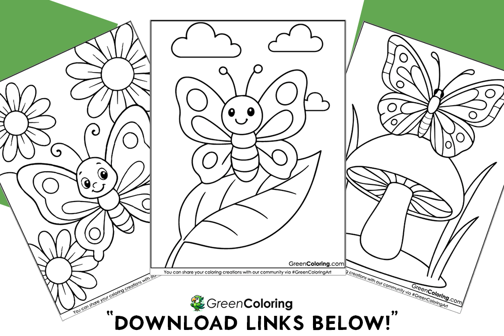 Simple Butterfly Coloring Pages for Kids and Toddlers