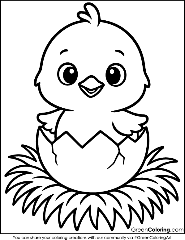 Download Free Printable Chicken Coloring Pages PDF
