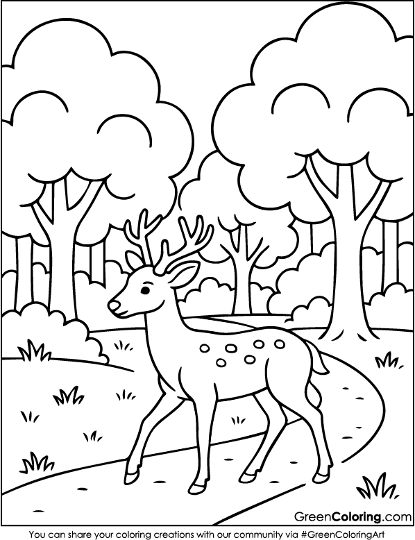 Download Printable Deer Coloring Sheets PDF Free