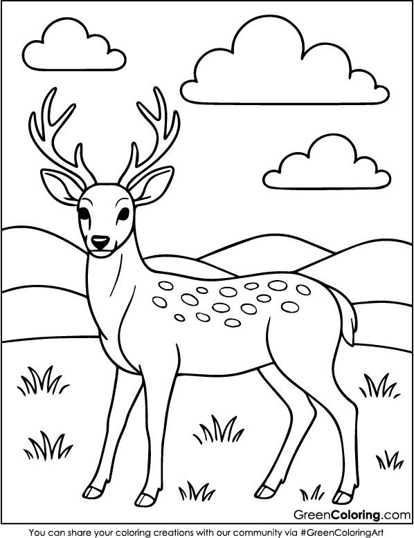 Download Printable Deer Coloring Page PDF Free