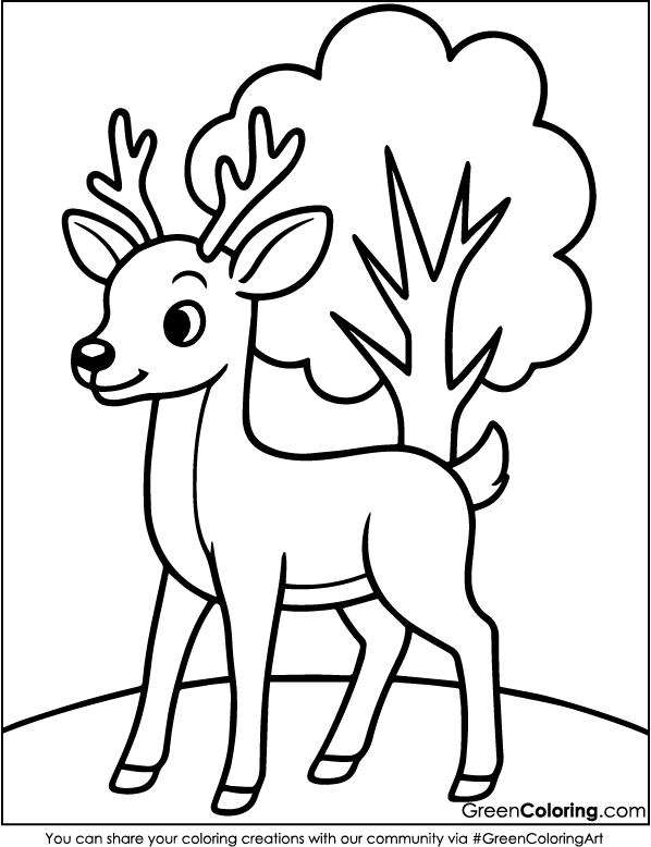 Printable Deer Coloring Pages PDF