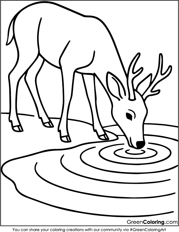 Deer Coloring Pages PDF