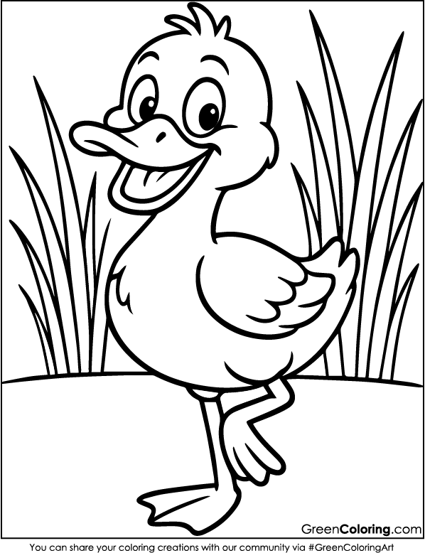 Duck Coloring Pages PDF