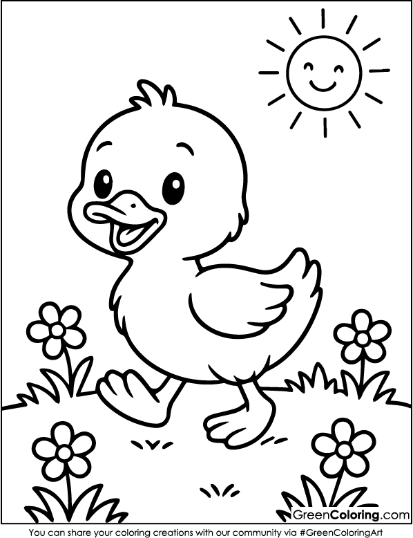 Printable Duck Coloring Pages PDF