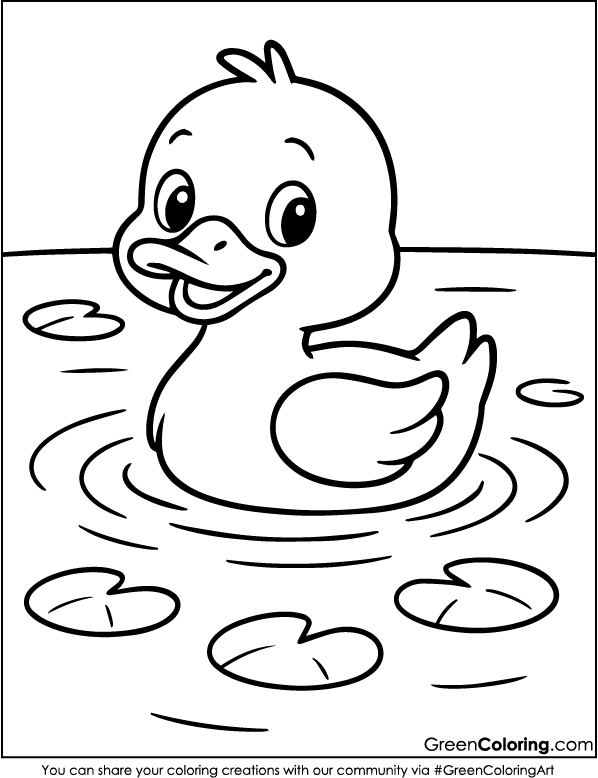Free Printable Duck Coloring Pages PDF
