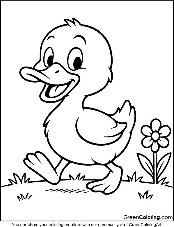 Download Free Printable Duck Coloring Sheet PDF