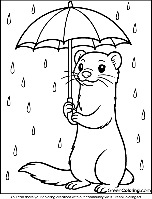 Ferret Coloring Sheet