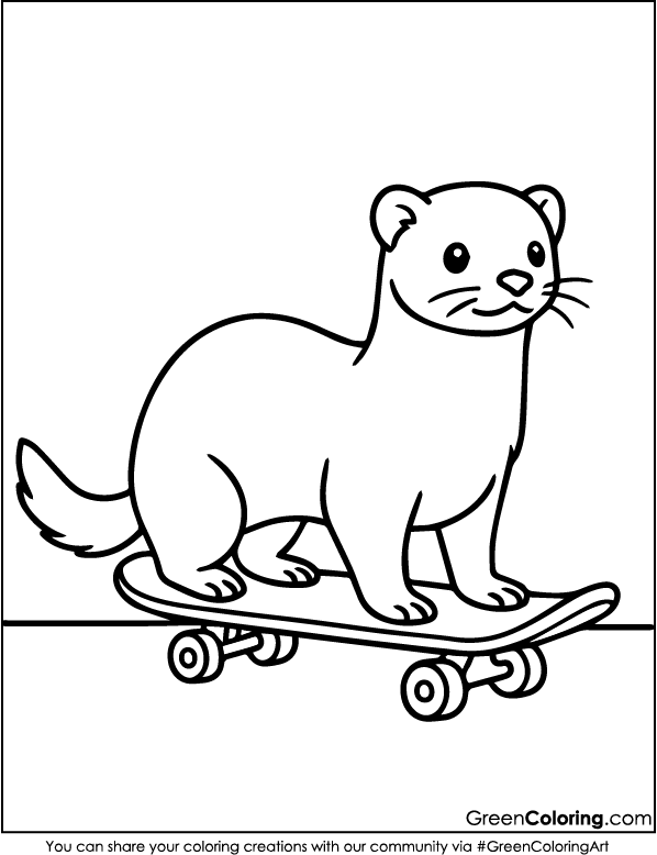 Ferret Coloring Pages
