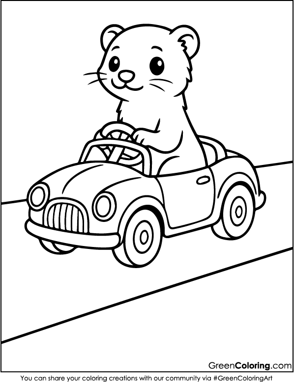 Ferret Coloring Pages PDF