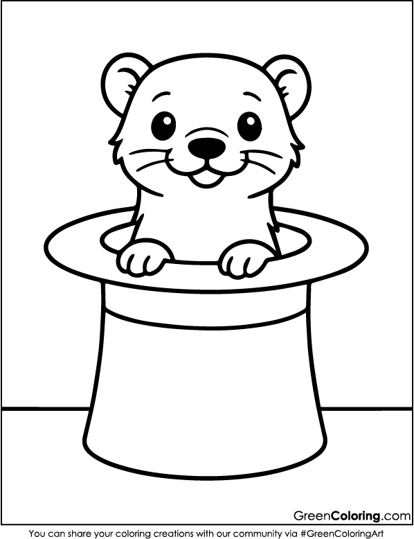 Free Printable Ferret Coloring Pages PDF