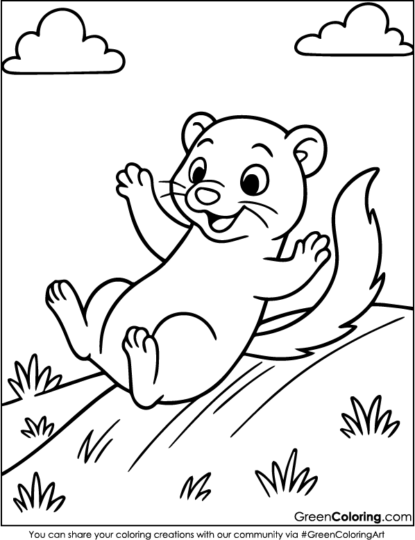 Download Free Printable Ferret Coloring Pages PDF