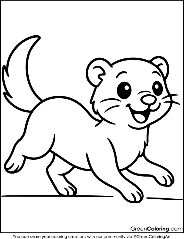 Free Printable Ferret Coloring Pages PDF