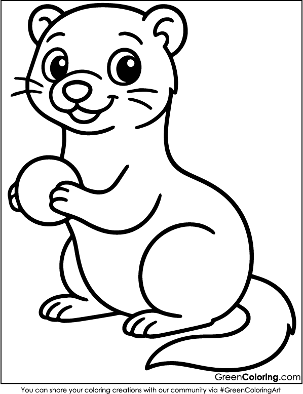 Download Free Printable Ferret Coloring Pages PDF