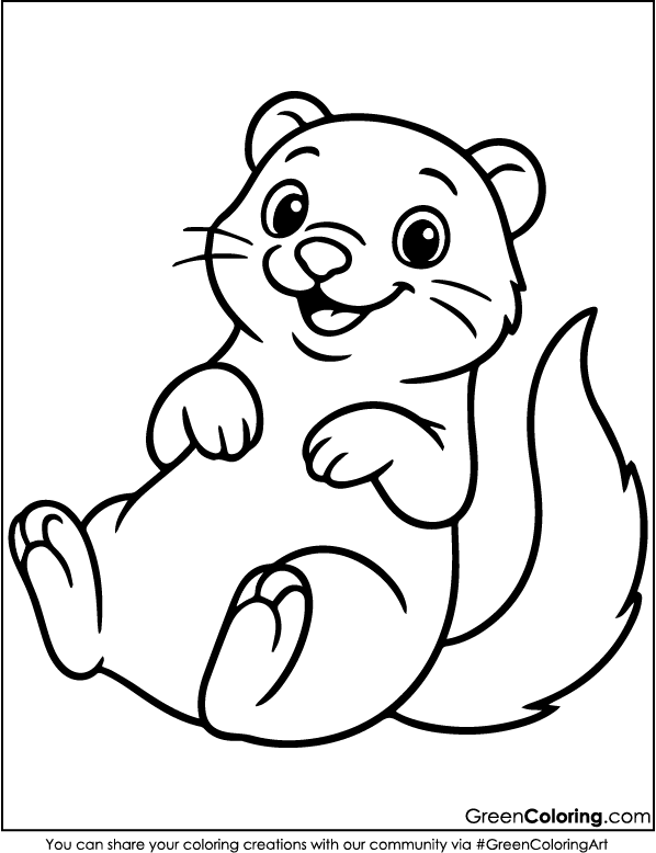 Download Free Printable Ferret Coloring Pages PDF