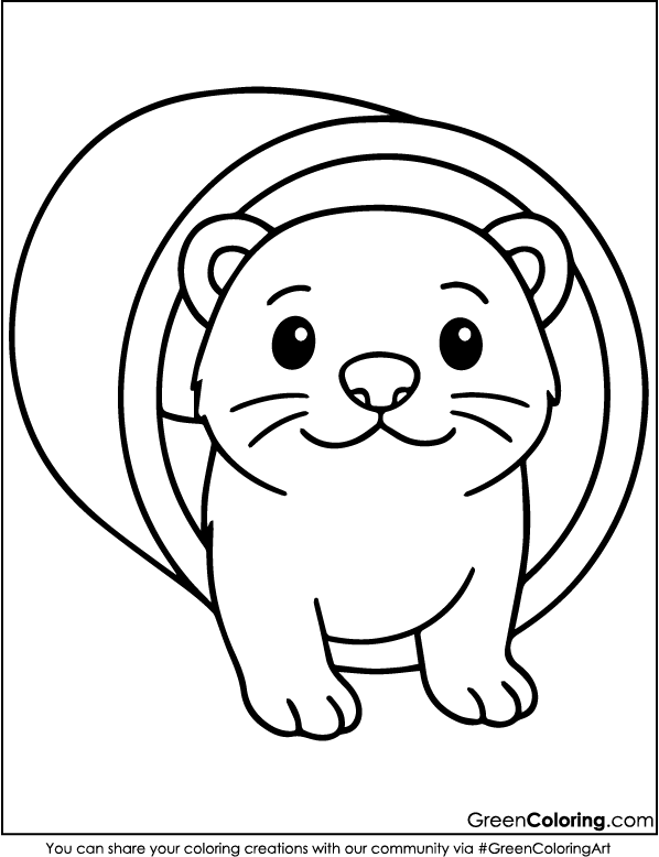 Ferret Coloring Pages PDF