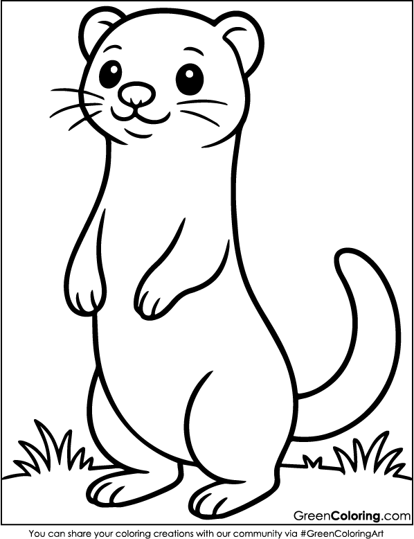 Download Free Printable Ferret Coloring Page PDF