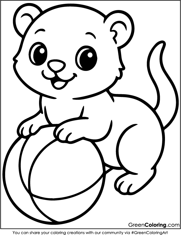 Download Free Printable Ferret Coloring Page PDF