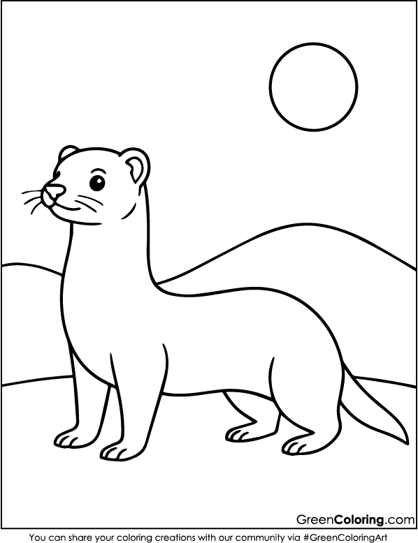 Simple Ferret Coloring Pages for Kids and Toddlers