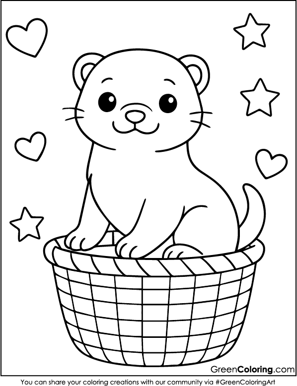 Cute Ferret Coloring Pages for Kids and Toddlers
