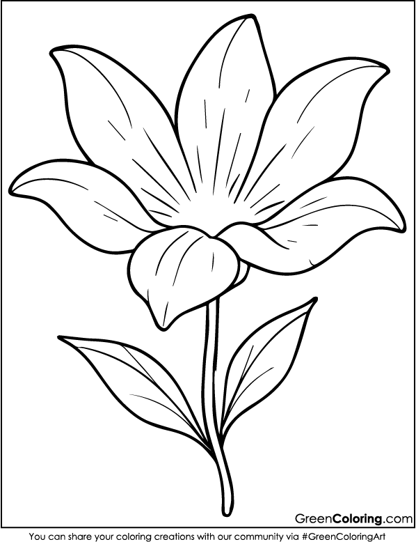 Flower Coloring Pages