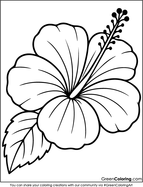 Printable Flower Coloring Pages PDF