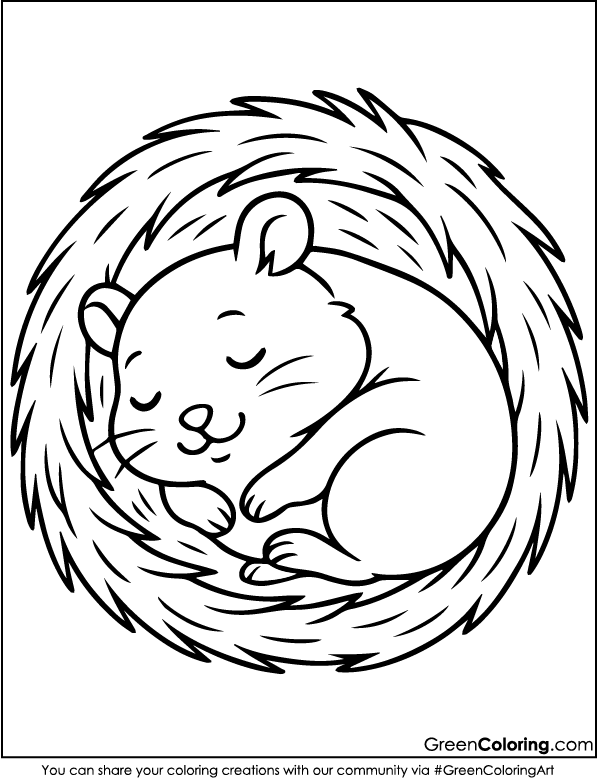 Download Printable Hamster Coloring Pages PDF