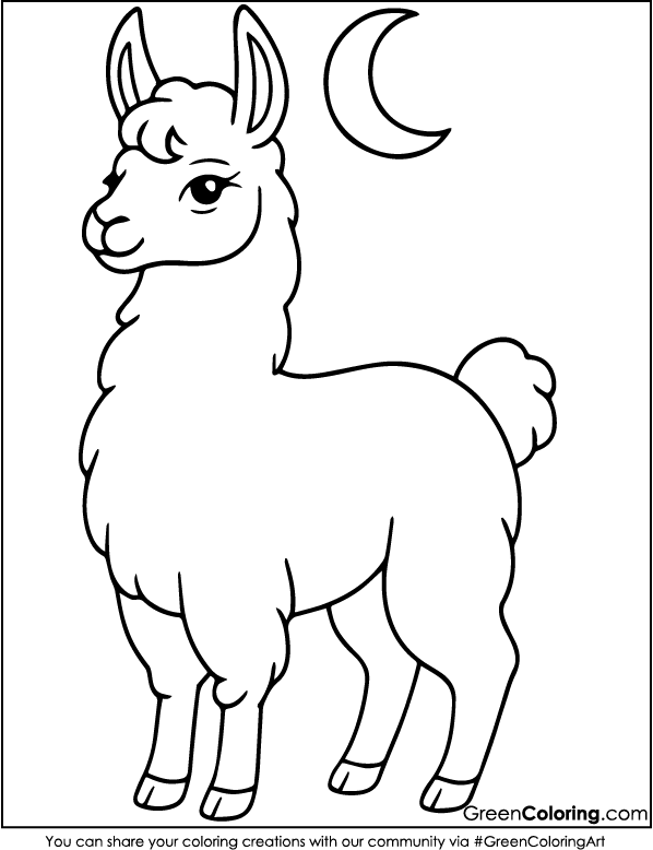 Llama Coloring Pages PDF