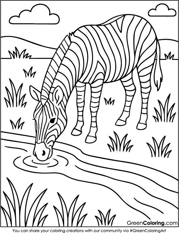 Download Free Printable Zebra Coloring Pages PDF