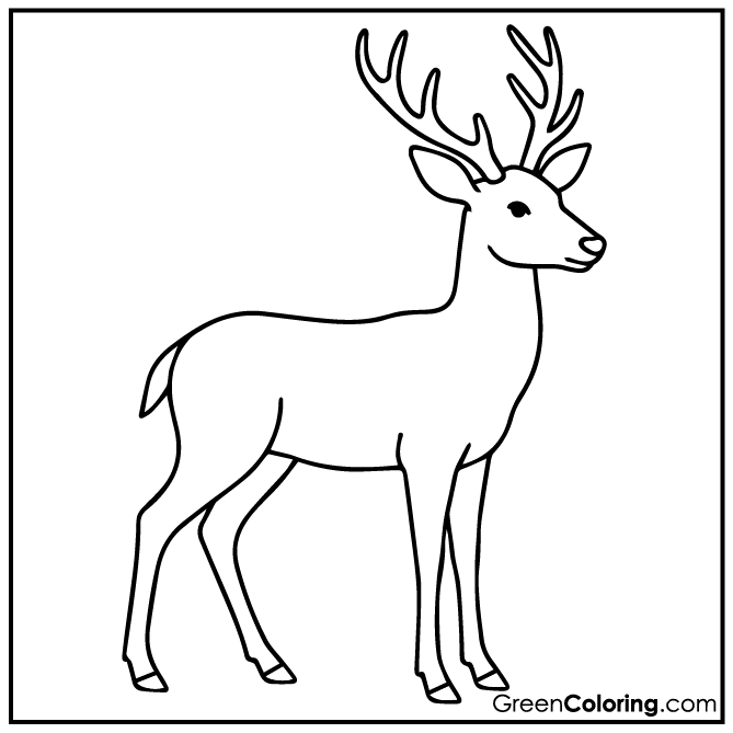 30 Deer Coloring Pages (Download Free Printable PDF)