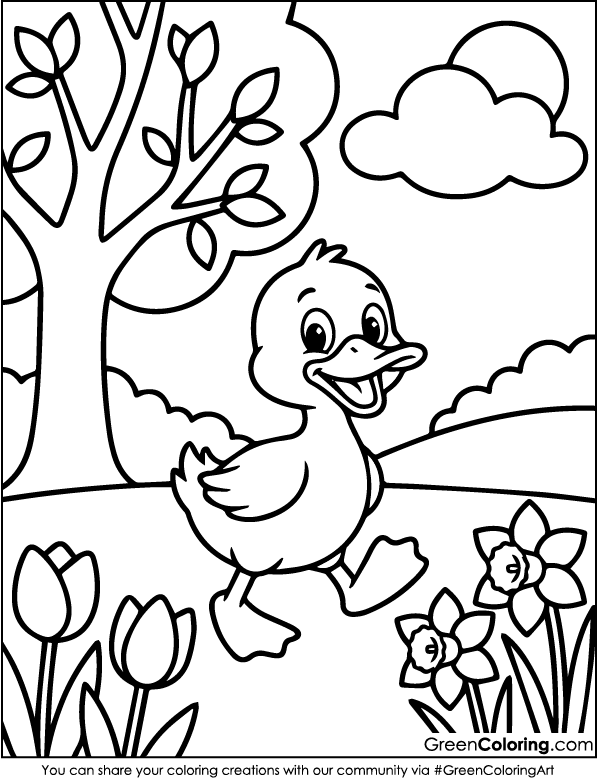 Duck Coloring Pages