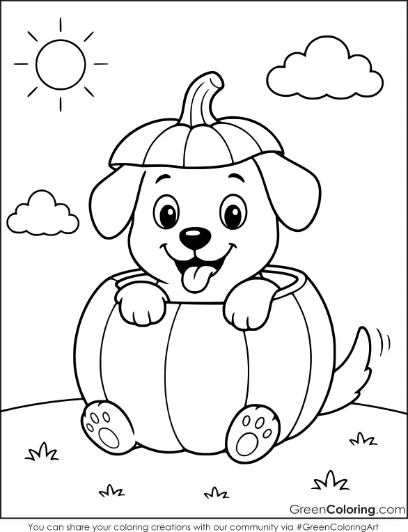Pumpkin Coloring Pages Free